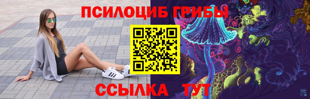 Галлюциногенные грибы GOLDEN TEACHER  Вход с VPN  Приморско-Ахтарск 